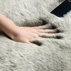 Ashler HOME DECO Soft Fox Faux Fur Chair Couch Cover Area Rug for Bedroom Floor Sofa Living Room Green White 2 x 2.8 ft