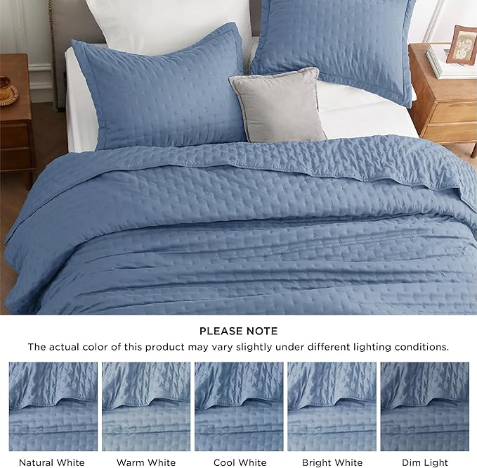 Bedsure Quilts Queen Size - Mineral Blue Bedspread Queen Size & Lightweight Comforter, Modern Coastal Coverlet with Clover Pattern, Ultra Soft All-Season Bedding, 90 x 96 Inches | Stitch-Free Quilting, Ultra Soft, Lightweight, Machine Washable, Pet-Fri...