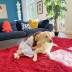 OLANLY 8x10 Machine Washable Large Area Rugs for Living Room, Bedroom, Soft Fluffy Shaggy Bedside Rug, Indoor Floor Carpet for Kids Girls and Boys, Dorms, Nursery, Home Decor Aesthetic, Red