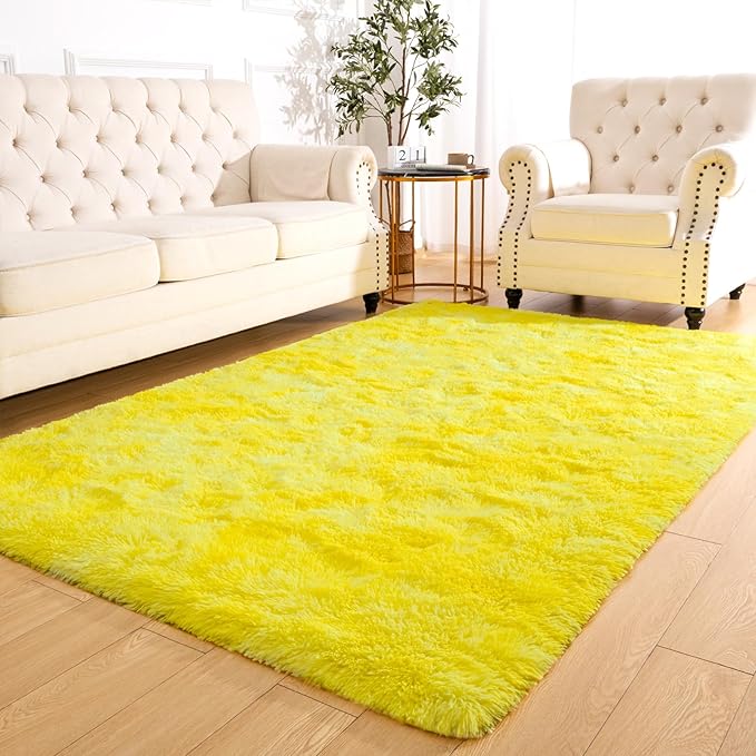 Softlife Area Rug for Living Room, Fluffy Shag Plush 6x9 Rainbow Rugs for Bedroom Girls Kids, Shaggy Soft Fuzzy Tie Dyed Large Carpet for Dorm Bedside Ultra Cozy Non-Slip Indoor Decor