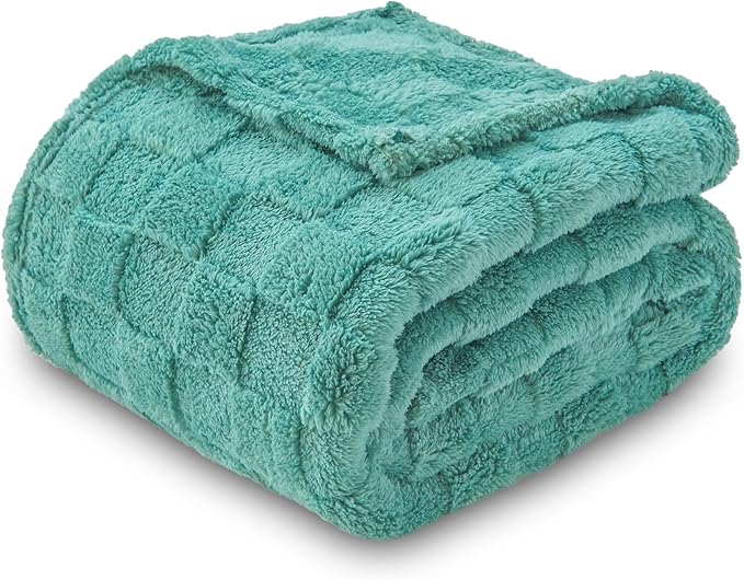 NEWCOSPLAY Super Soft Twin Blanket Mint Green Premium Silky Flannel Fleece 3D Checkered Lightweight Bed Blanket All Season Use (Mint Green Checkered, Twin(60"x80"))