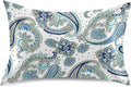 Satin Pillowcase for Hair and Skin, Vintage Floral Paisley Silk Pillowcase Soft and Cozy Body Pillow Covers, Queen Size Satin Pillow Cases with Envelope Closure(20x30 Inch), 1PC