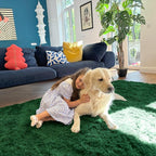OLANLY 8x10 Machine Washable Large Area Rugs for Living Room, Bedroom, Soft Fluffy Shaggy Bedside Rug, Indoor Floor Carpet for Kids Girls and Boys, Dorms, Nursery, Home Decor Aesthetic, Dark Green