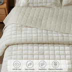 BEDELITE Velvet Quilt Set Queen Size - Luxury Velvet Comforter Bedding Set 3 Pieces, Lightweight Soft Cozy Shiny Cream White Oversized Bedspread Coverlet for All Seasons with 2 Pillow Shams