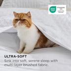 Bedsure Quilts Queen Size - Bright White Bedspread Queen Size & Lightweight Comforter, Modern Coverlet with Clover Pattern, Ultra Soft All-Season Bedding, 90 x 96 Inches | Stitch-Free Quilting, Lightweight, Summer Bedding Set, Machine Washable, Pet-Fri...