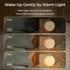 Sunrise Alarm Clock for Heavy Sleepers, Moon Lamp with Moon Light & 10 Light Effects, Cute Alarm Clock with10 White Noise Sounds & Dual Alarms for Bedrooms & Home Office Decor (Walnut Wood Grain)