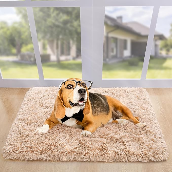 Noahas Door Mat Indoor Entrance,2x3 Shaggy Small Beige Area Rugs for Entryway,Non-Slip Fluffy Entry Bedroom Rug,Soft Plush Bedside Throw Kids Carpet