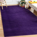 Andecor Shag Area Rug Fluffy Carpets, 5x7 Purple Washable Living Room Bedroom Rugs, Soft Fuzzy Indoor Rugs for Dorm Boys Girls Kids Room Nursery Home Decorations