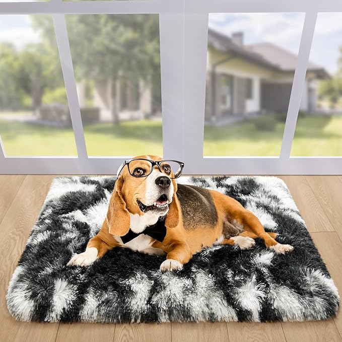 Noahas Door Mat Indoor Entrance,2x3 Shaggy Small Tie-Dyed Black and White Area Rugs for Entryway,Non-Slip Fluffy Entry Bedroom Rug,Soft Plush Bedside Throw Kids Carpet