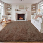 6x9 Area Rug for Living Room: Fluffy Shag Soft Washable Rugs Large Fuzzy Plush Indoor Carpet for Bedroom Nursery Playroom Kids Girls Boys Room (Coffee, 6'x9')