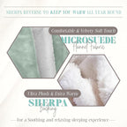 Elegant Comfort Throw Blanket, Reversible Sherpa Flannel, Ultra-Soft, Fuzzy, Cozy and Plush- All Season Lightweight Decorative Throw, 50 x 60 inches, Solid Sherpa Throw, Mint Green