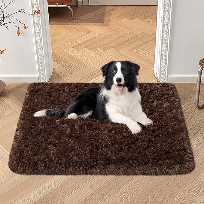Small Fluffy Rugs for Bedroom 2x3 Brown Shaggy Area Rug Soft Plush Fuzzy Fur Throw Rug for Living Room Dorm Kids Nursery Home Decor Aesthetic Carpets