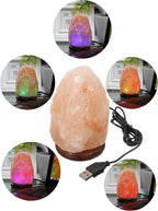 Clearance! ! ! JIC Gem Natural USB Himalayan Salt Lamp Crystal Salt Rock Mini Hand Carved Lamp with Multi-Color LED Changing Bulb