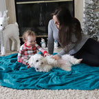 Bedsure GentleSoft Fleece Blankets Queen Size Teal - Bed Blanket Soft Lightweight Plush Fuzzy Cozy Luxury Microfiber, 90x90 inches