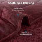 L'AGRATY Weighted Blanket - 36"x48" 3lbs Minky Dots Heavy Blanket with Glass Beads Soft Breathable for All-Season Summer Fall Winter Thick Comfort for Sleeping