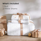 Bedsure Quilts Queen Size - Bright White Bedspread Queen Size & Lightweight Comforter, Modern Coverlet with Clover Pattern, Ultra Soft All-Season Bedding, 90 x 96 Inches | Stitch-Free Quilting, Lightweight, Summer Bedding Set, Machine Washable, Pet-Fri...
