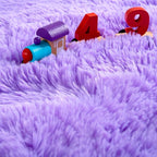 Noahas Fluffy Purple Rugs for Bedroom Girls,Door Mat Indoor Entrance,2x3 Shaggy Small Non-Slip Entryway Entry Area Rugs,Soft Plush Bedside Throw Kids Carpet Home Decor
