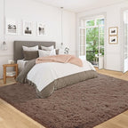 5x8 Area Rug for Living Room: Fluffy Shag Soft Washable Rugs Fuzzy Plush Indoor Carpet for Bedroom Nursery Playroom Dorm Kids Girls Boys Room (Coffee, 5'x8')