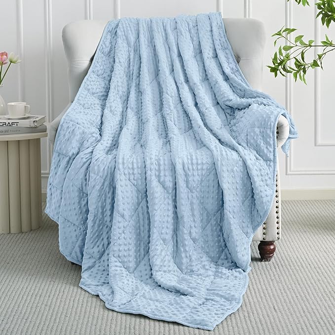 Mr. Sandman Weighted Blanket for Adults, Minky Dots Heavy Blanket for Women, Man Sleeping and Calm, Soft and Cozy Cooling Weighted Throw Blankets, Machine Washable, 48 x 72in, 15 lbs, Light Blue