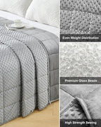 Weighted Blanket for Adults Queen Size 15 lbs, Soft Cooling Minky Dot Heavy Breathable Blanket for All-Season, Washable Weighted Throw with Glass Beads, 60 x 80 Inches, Grey