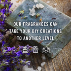 P&J Trading Fragrance Oil Ladies Set | Pearberry, Lavender, Warm Vanilla Sugar, Plumeria, Magnolia, Wisteria Candle Scents for Candle Making, Freshie Scent, Soap Making Supplies, Diffuser Oil Scents