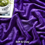 DREAMNINE Pack of 21 Fuzzy Soft Fleece Throw Blanket for Couch Sofa 50" x 60", Decorative Solid Lightweight Velvet Blankets for Chair, Cozy Accent Shaggy Plush Flannel Blanket for Bedroom, Purple