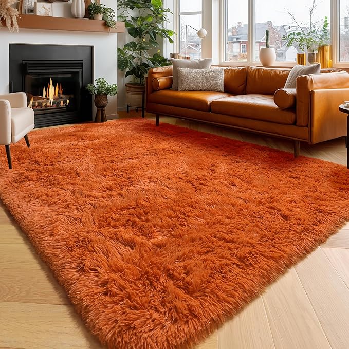 Amdrebio Burnt Orange Area Rugs for Living Room Bedroom, Fluffy Plush Furry Fuzzy Rug 5x8 for Kids Room Decor Aesthetic, Modern Cute Shag Floor Dark Orange Carpet for Nursery Dorm Classroom Playroom