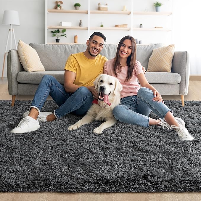 Noahas Fluffy Bedroom Rug,3x5 Feet Plush Fuzzy Dark Grey Area Rugs for Living Room, Non Slip Thick Soft Shaggy Nursery Furry Floor Dorm Kids Carpet