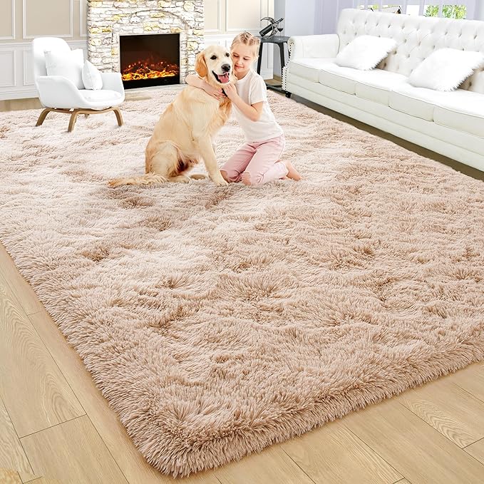 Noahas Large Fluffy Beige 5x8 Area Rugs for Living Room Bedroom,Thick Shag Throw Rug,Big Soft Shaggy Bedside Non-Slip Plush Dorm Nursery Kids Carpet