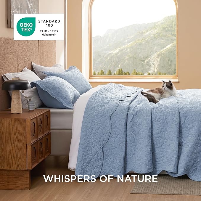 Bedsure Quilts Queen Size - Ultra Soft Pre-Washed Cloud-Like Bedding, All-Season Lightweight Comforter for Country Bedroom, Leaf Design Coverlet in Mineral Blue, 90 x 96 Inches | Stitch-Free Quilting, Ultra Soft, Lightweight, Machine Washable, Pet-Frie...