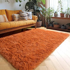 Amdrebio Burnt Orange Area Rugs for Bedroom Kids Room, Fluffy Fuzzy Shaggy Furry Small Rug 3x5 for Living Room Decor Aesthetic, Cute Plush Shag Dark Orange Carpet for Dorm Nursery Classroom Playroom