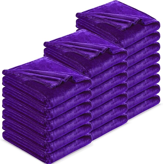 DREAMNINE Pack of 21 Fuzzy Soft Fleece Throw Blanket for Couch Sofa 50" x 60", Decorative Solid Lightweight Velvet Blankets for Chair, Cozy Accent Shaggy Plush Flannel Blanket for Bedroom, Purple