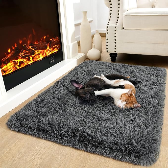 Noahas Door Mat Indoor Entrance,2x3 Shaggy Small Dark Grey Area Rugs for Entryway,Non-Slip Fluffy Entry Bedroom Rug,Soft Plush Bedside Throw Kids Carpet