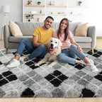 Noahas Fluffy 4x6 Area Rugs for Bedroom Living Room,Fuzzy Black and Grey Thick Shag Throw Floor Carpet,Soft Shaggy Bedside Non-Slip Plush Dorm Nursery Kids Rug