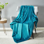DREAMNINE Large Soft Fuzzy Flannel Fleece Throw Blanket for Couch Sofa 60" x 80", Decorative Solid Lightweight Velvet Bed Blanket, Luxury Cozy Shag Plush Microfiber Blankets for Bedroom,Twin Size,Teal