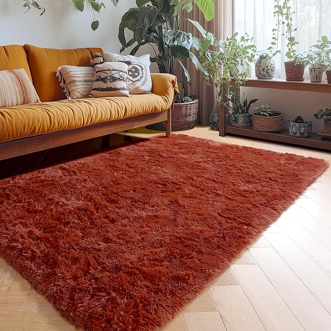 Amdrebio Terracotta Rust Area Rugs for Bedroom Living Room, 5x7 Fluffy Fuzzy Shaggy Furry Rug for Kids Room Decor Aesthetic, Modern Cute Plush Shag Rustic Carpet for Nursery Dorm Classroom Playroom