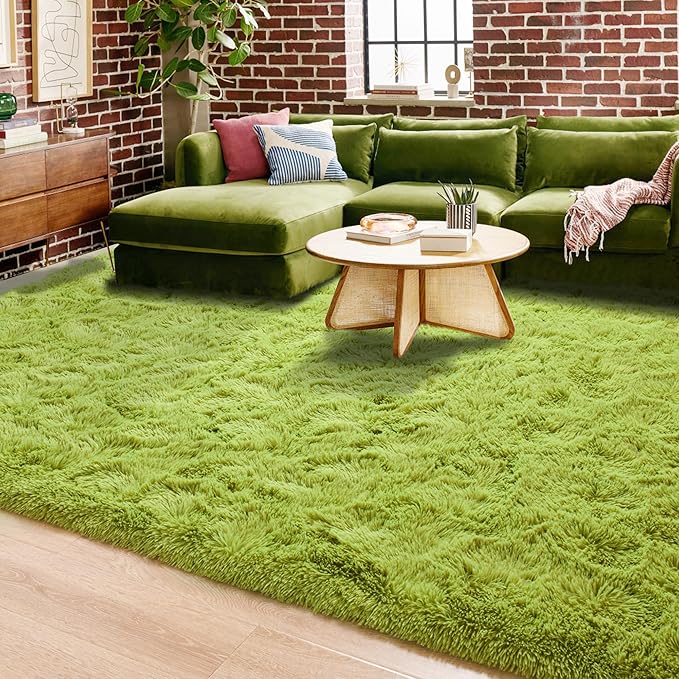ISEAU 3x5 Area Rug for Living Room, Green Rugs for Bedroom, Kitchen, Soft Shaggy Carpets, Fluffy and Machine Washable Mats, Under Bed, On Nursery Floors Mat, Boys, Girls Room Carpet Decor