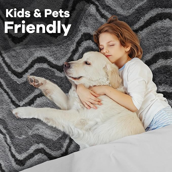 Noahas Fluffy 4x6 Area Rugs for Bedroom Living Room,Thick Shaggy Grey Fuzzy Throw Floor Carpet,Soft Bedside Non-Slip Plush Dorm Nursery Kids Rug