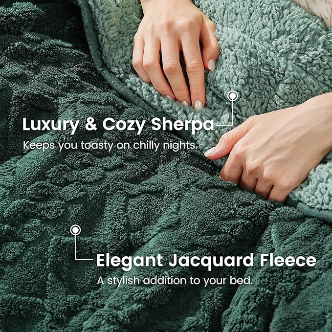 Sherpa Fleece Adult Weighted Blanket Great for Sleep, 15 lbs Dual Sided Soft Fuzzy Heavy Blankets for Couch Bed Sofa, Cozy Warm Fluffy Jacquard Throw for Winter (Green, 60" x 80", 15 Pounds)