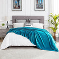 DREAMNINE Large Soft Fuzzy Flannel Fleece Throw Blanket for Couch Sofa 60" x 80", Decorative Solid Lightweight Velvet Bed Blanket, Luxury Cozy Shag Plush Microfiber Blankets for Bedroom,Twin Size,Teal