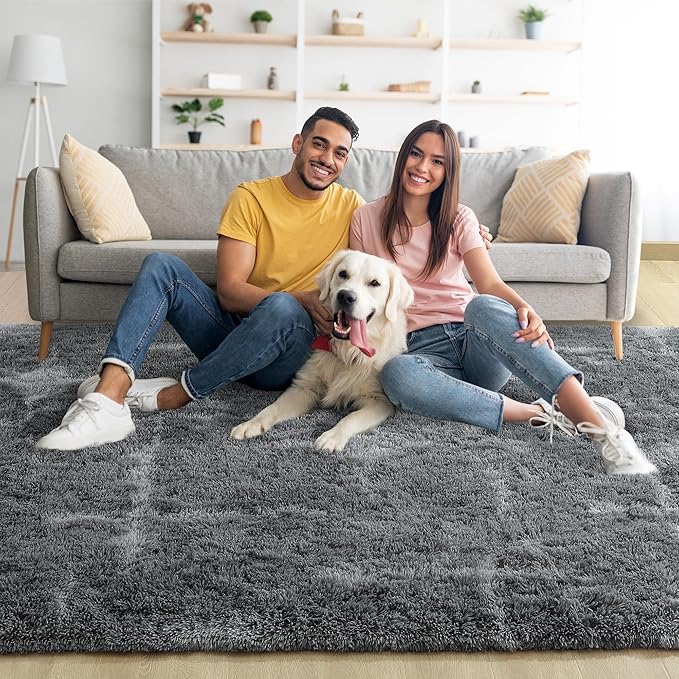 Noahas Large Fluffy 5x8 Area Rugs for Living Room Bedroom,Soft Grey Thick Shag Throw Rug,Big Shaggy Bedside Non-Slip Plush Dorm Nursery Kids Carpet