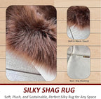 LAMBZY Bear Skin Rug Super Soft Fluffy Faux Fur for Bedroom Floor Sofa Living Room High-Density Plush Shaggy Carpet Sofa Cover Bedside Sheepskin Rug (2'x3', Brown)
