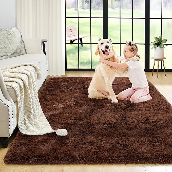 Noahas Fluffy Bedroom Rug,3x5 Feet Plush Fuzzy Brown Area Rugs for Living Room, Non Slip Thick Soft Shaggy Nursery Furry Floor Dorm Kids Carpet