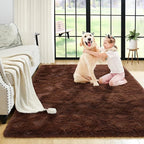Noahas Fluffy Bedroom Rug,3x5 Feet Plush Fuzzy Brown Area Rugs for Living Room, Non Slip Thick Soft Shaggy Nursery Furry Floor Dorm Kids Carpet
