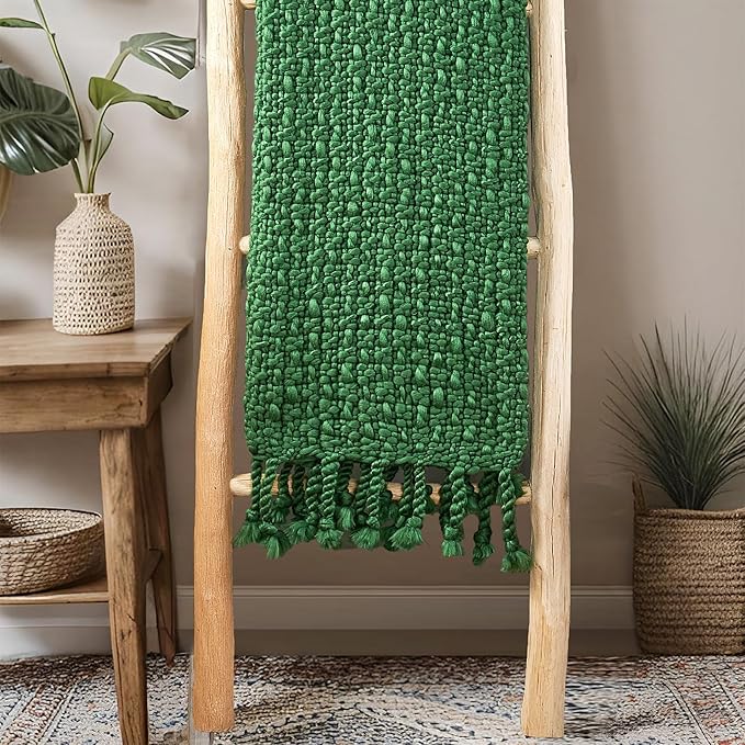 Home Soft Things Chunky Knit Basket Weave Throw Blanket 50"x60" - Boho Soft Microfiber with Braided Tassels - All Season Cozy Decorative Throw for Couch, Sofa, Bed, Indoor & Outdoor - Eden Green
