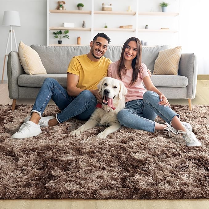 Noahas Fluffy 4x6 Area Rugs for Bedroom Living Room,Tie-Dyed Brown Thick Shag Throw Floor Carpet,Soft Shaggy Bedside Non-Slip Plush Dorm Nursery Kids Rug