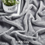 DREAMNINE Oversized Soft Plush Fleece Throw Blanket Twin Size 60" x 80", Decorative Large Solid Lightweight Fluffy Velvet Bed Blanket, Big Cute Cozy Accent Gray Fuzzy Flannel Blanket for Bedroom, Grey