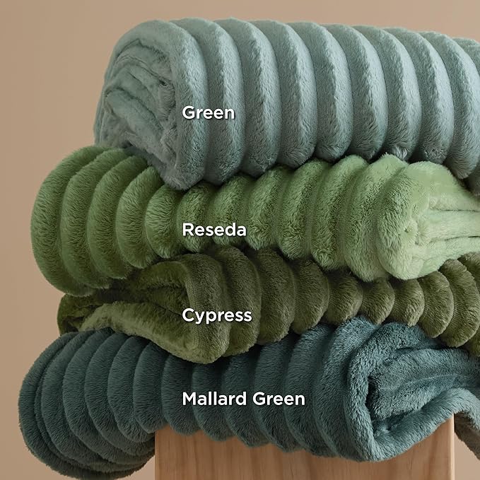 Bedsure GentleSoft Reseda Fleece Queen Blanket for Couch - Super Soft Cozy Blankets for Women, Cute Small Blanket for Girls, 90x90 Inches