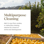 Young Living Lemon Essential Oil 15ml – 100% Pure Citrus Essential Oil for Diffuser, Aromatherapy, Natural Lemon Oil for Daily Use