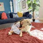 OLANLY Area Rugs for Living Room Bedroom, Machine Washable 4x5.9 ft Soft Fluffy Shaggy Bedside Rug, Indoor Floor Carpet for Kids Girls and Boys, Dorms, Nursery Rooms, Home Decor Aesthetic, Rust Red